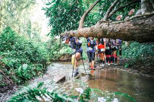 BIB: 
                            <button type="button" onclick="openModal(25516840)" class="btn btn-primary btn-sm float-right btn-popup" data-toggle="modal" data-target=".modal-high-quality">
                        <i class="fas fa-shopping-cart"></i> Add to Cart
                    </button>
                                            <button type="button" onclick="isThisMe(25516840, true)" class="btn btn-success btn-sm float-right btn-popup btn-isme hidden" data-toggle="tooltip" data-placement="bottom" title="นี่คือรูปของคุณใช่ไหม คลิกที่นี่เพื่อเอาเข้าอัลบั้ม">
                        <i class="fas fa-plus"></i> Add to album
                    </button>
                    <button type="button" onclick="isThisMe(25516840, false)" class="btn btn-warning btn-sm float-right btn-popup btn-isnotme hidden">
                        <i class="fas fa-ban"></i> Remove from album
                    </button>